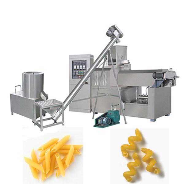 Macaroni food processing line